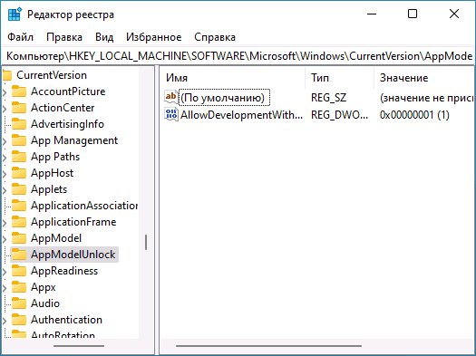 Запис реєстру для активації режиму розробника в Windows 11